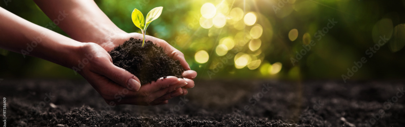 Keine Bildbeschreibung verfügbar